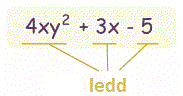 polynomial example